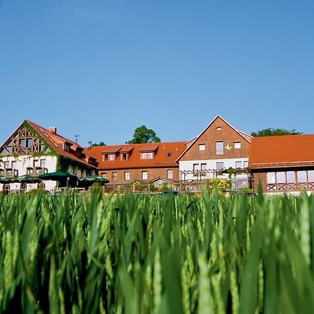 Hotel Neue Hoehe Klingenberg Buitenkant foto