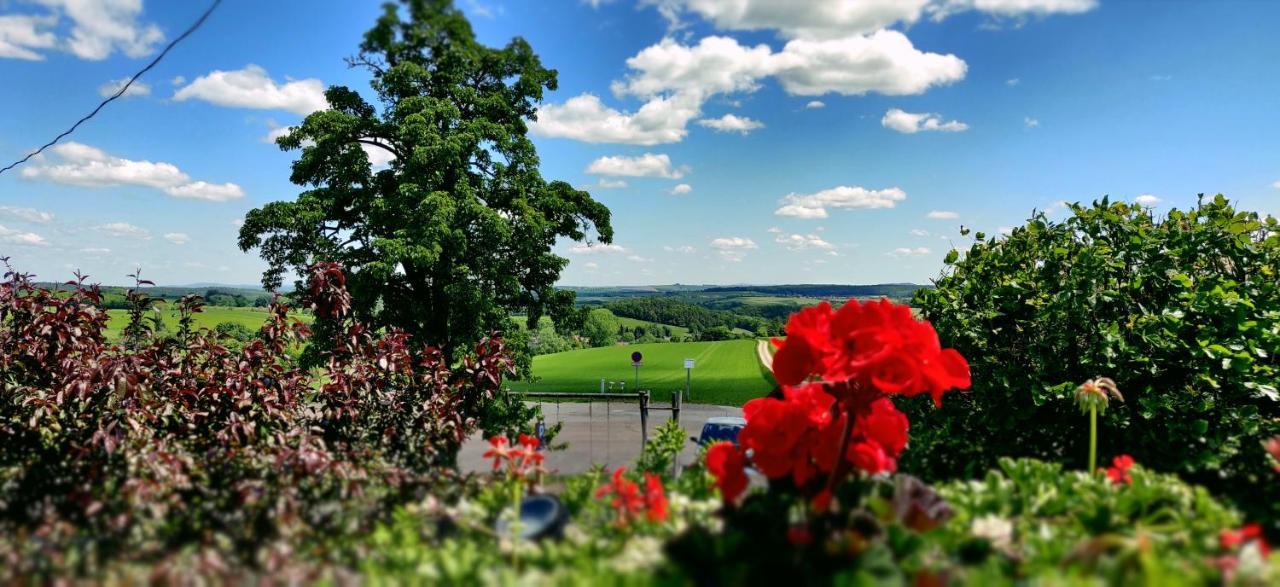 Hotel Neue Hoehe Klingenberg Buitenkant foto