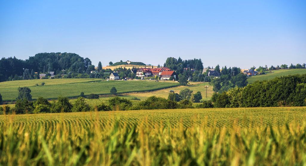 Hotel Neue Hoehe Klingenberg Buitenkant foto