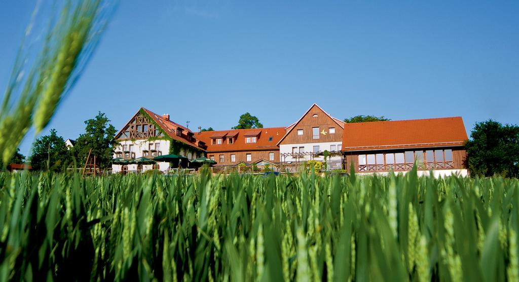 Hotel Neue Hoehe Klingenberg Buitenkant foto